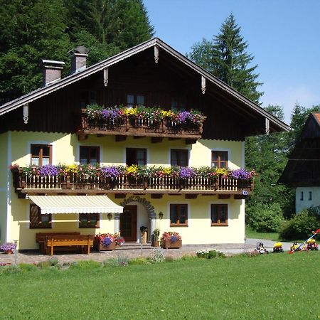 Apartamento Pferdehof Almgut Faistenau Exterior foto