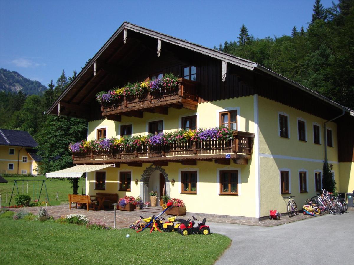 Apartamento Pferdehof Almgut Faistenau Exterior foto