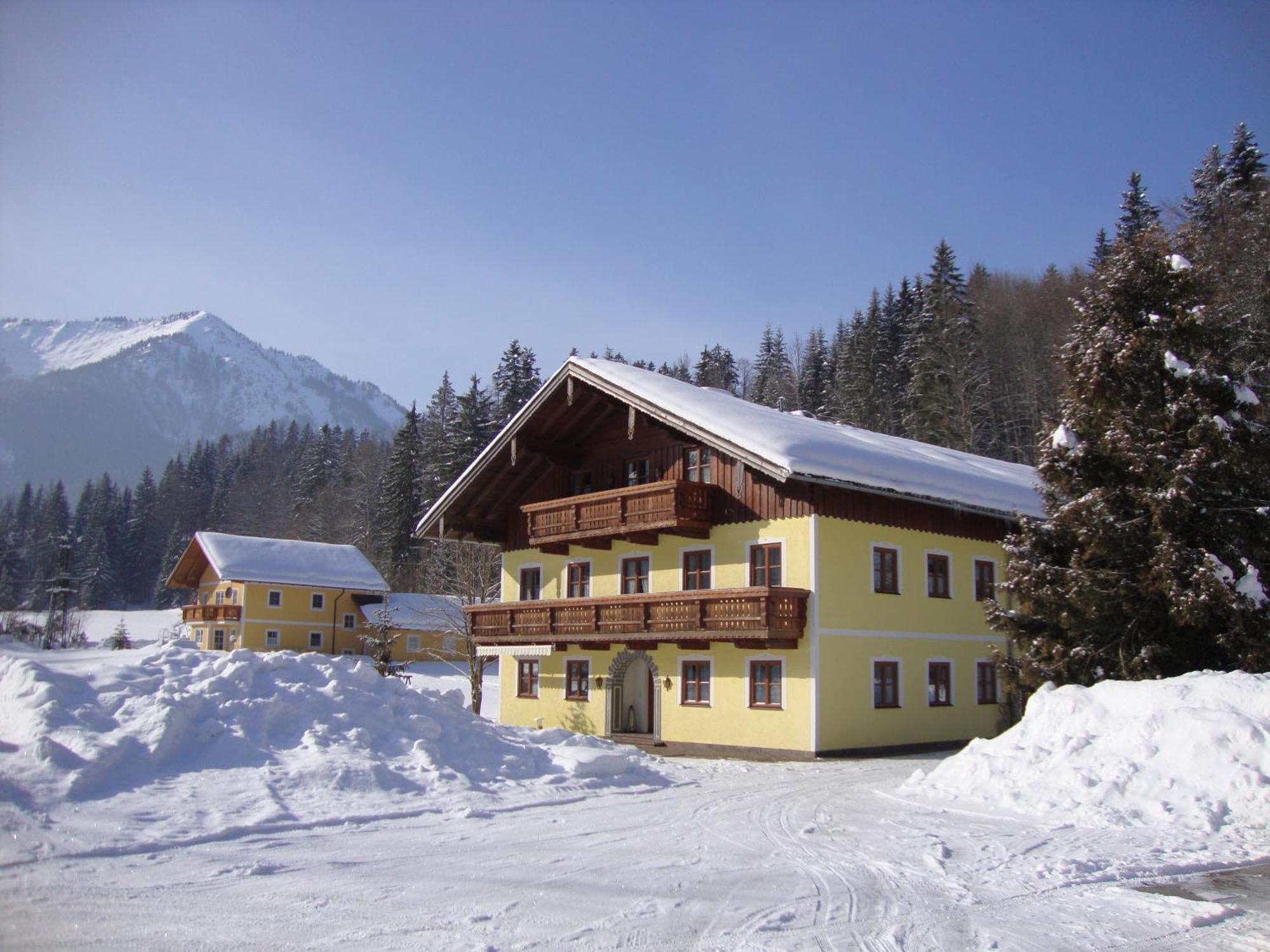 Apartamento Pferdehof Almgut Faistenau Exterior foto